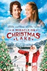 Чудо на Рождественском озере (A Miracle on Christmas Lake) (2016)