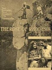 Роза Родезии (1918)