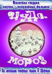 Чудо-мороз (1976)