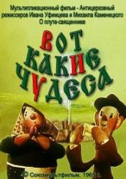 Вот какие чудеса... (1965)